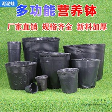 �Ӻ�Ӫ���������һ�������ϻ������籭��ɫ����������������
