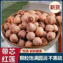 有芯红莲子大颗粒干货红皮莲子一件代发无硫湘潭莲子特产带芯