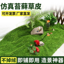 ����̦�\���ٲ�Ƥ�Gɫ��̦��ƺ΢���^���Ù����辰����쾰�b�