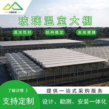 承建无土栽培玻璃温室大棚骨架蔬菜水果花卉草莓种植槽保温温室棚