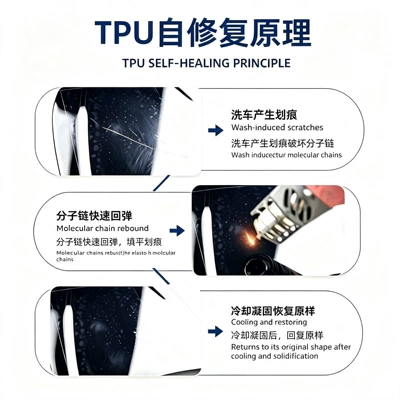 providing protection for car paint — Car paint protective film