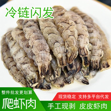 皮皮虾肉鲜活虾姑现剥大号新鲜虾爬肉低脂虾肉海鲜虾姑肉琵琶虾肉