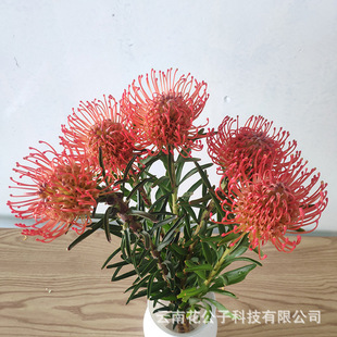 ᘉ|�r�л� �Ϸ�ᘉ| ���Sɫ �����仨 ��ˇ�쾰 �Ҿ��b ��Y�û�