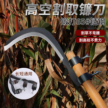���l砵��i��r�ÿ���֦�B�����Ƶ��߿���֦���^���㴻�������⵶