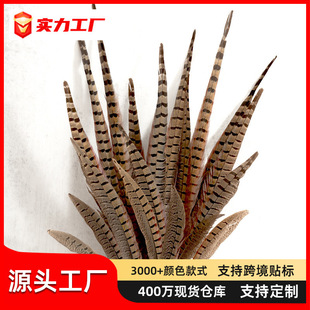 Pheasant Feather Tail Long Feather Cat Teaser Stick Accessories Pheasant Feather Indian Headdress Feather DIY Decoration Materials