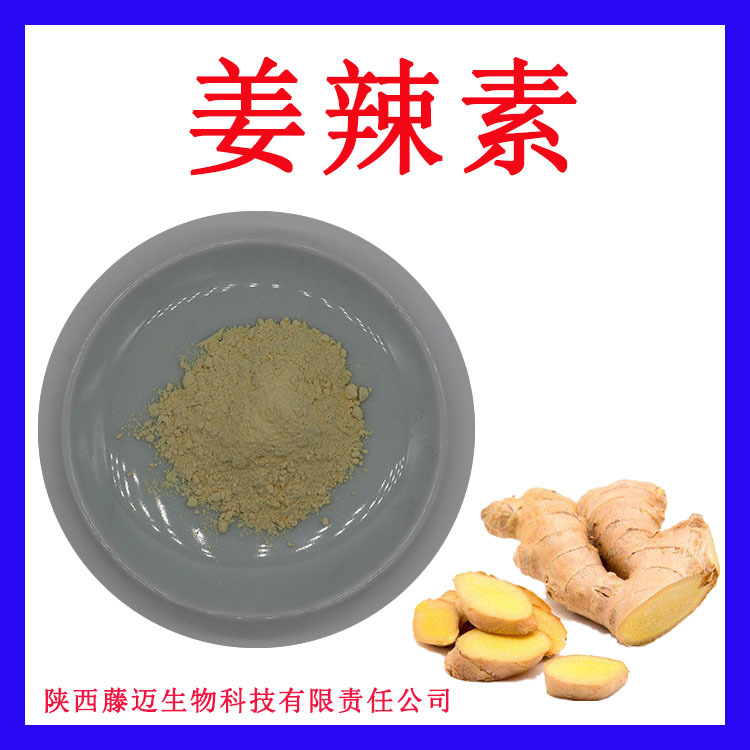 姜辣素5%无中间商老姜提取物10%水溶性生姜提取物1kg起订