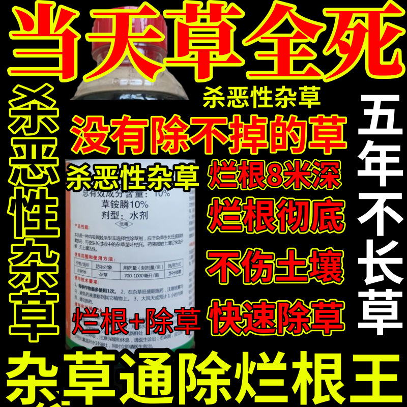 当天草全死精草铵膦铵盐杀恶性杂草通用除草剂果园烂根剂杀草王