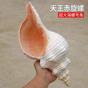 ����ؐ�������ݹ���̖���ղضYƷ�[���bɴ����̖