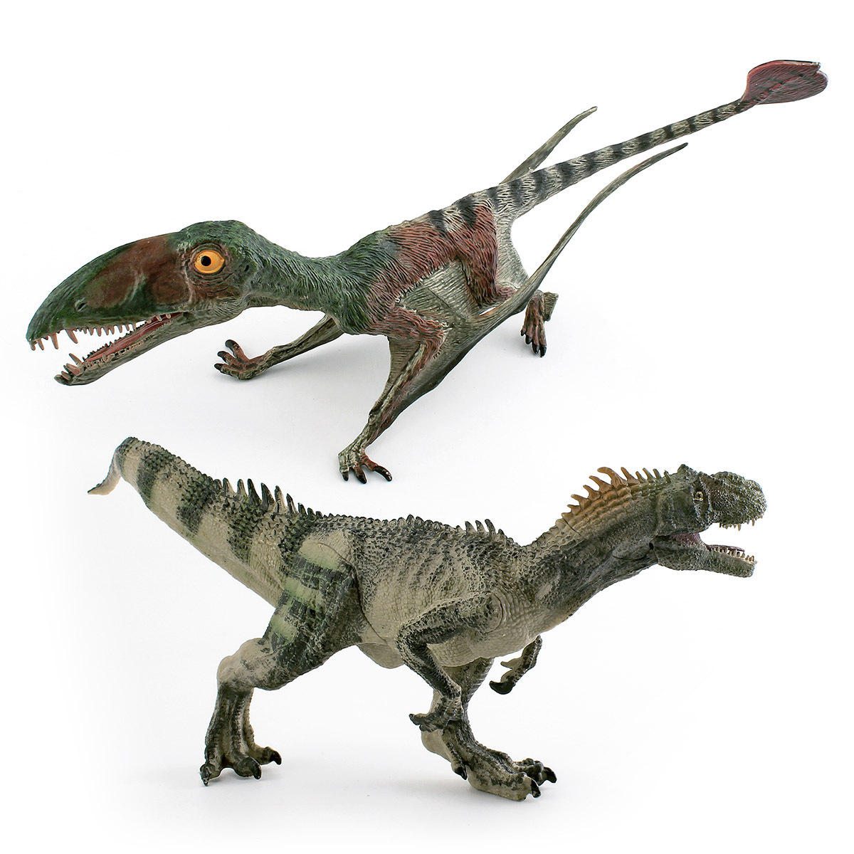 Simulación transfronteriza modelo de dinosaurio Jurásico Dragón Volador Fengshen pterosaurus Allosaurus juguete de decoración estática