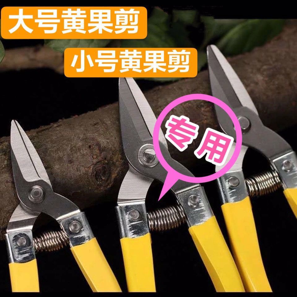 Garden Shears with Spring-Loaded Fruit Tree Pruning Scissors, Universal Accessories for Pruning Branches and Flowers