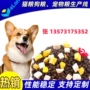 成套双螺杆宠物膨化机