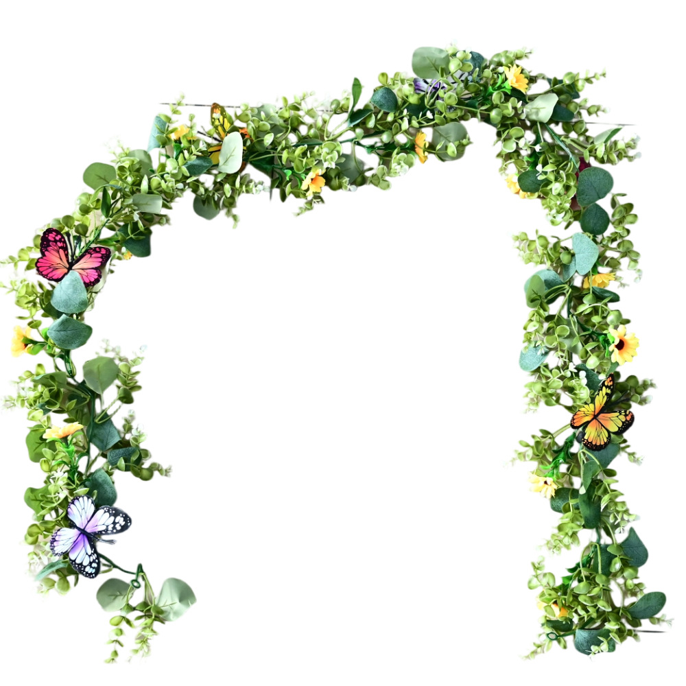 Mariposa Eugenio / 180CM175G