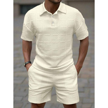 L 40239 Solid Men's Polos ��ɫ��Լ��ʿ POLO ���羳��ó��