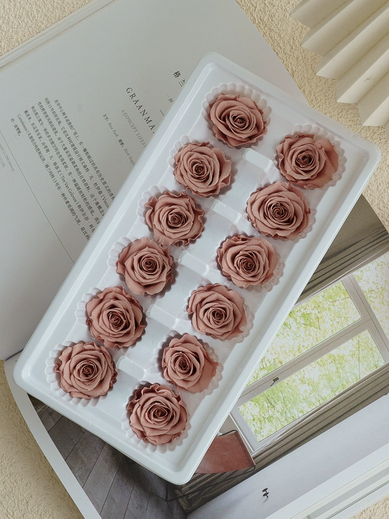 Eternal Rose head A -Class/B -Class Cabca Shengsheng Flower Handmade DIY Teacher's Day Gift Materials