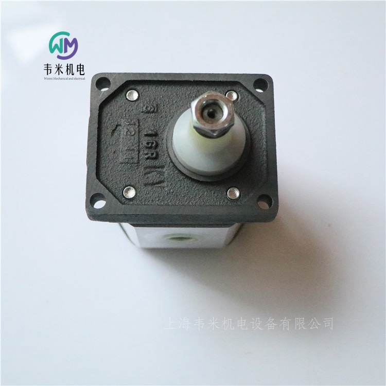 GP10027R95B20NH迪普馬齒輪泵