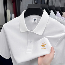 Ʒ��2026�ļ��¿���ʿ��ɫ����t�������귭�������ɰ���POLO��