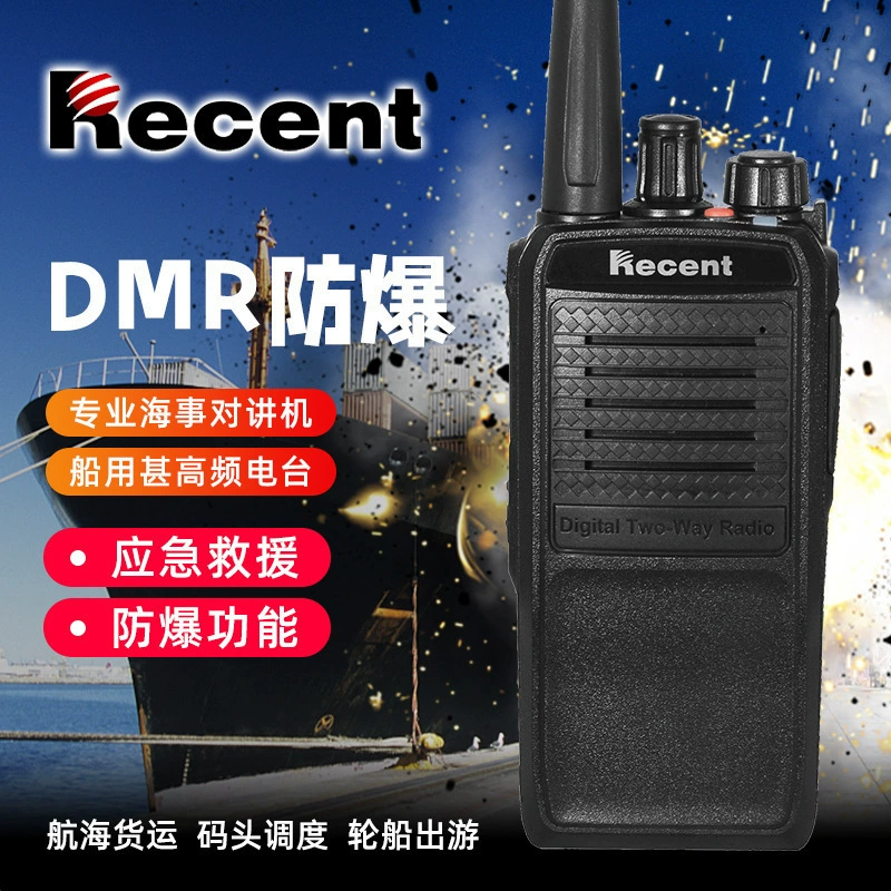 Ruisen RS-538D взрывозащищенный домофон цифровой взрывозащищенный ibIIBT4 высокомощный проникающий домофон производитель