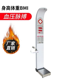 电子秤;其他仪器仪表;其他量仪