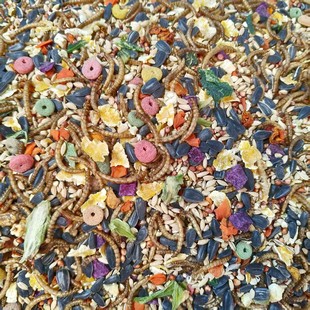 ɢ�Q���ɂ}��Zʳ��z�ܹ��߼Z��ϻ�֦�����Zʳ��ɢ�Q�Z���l