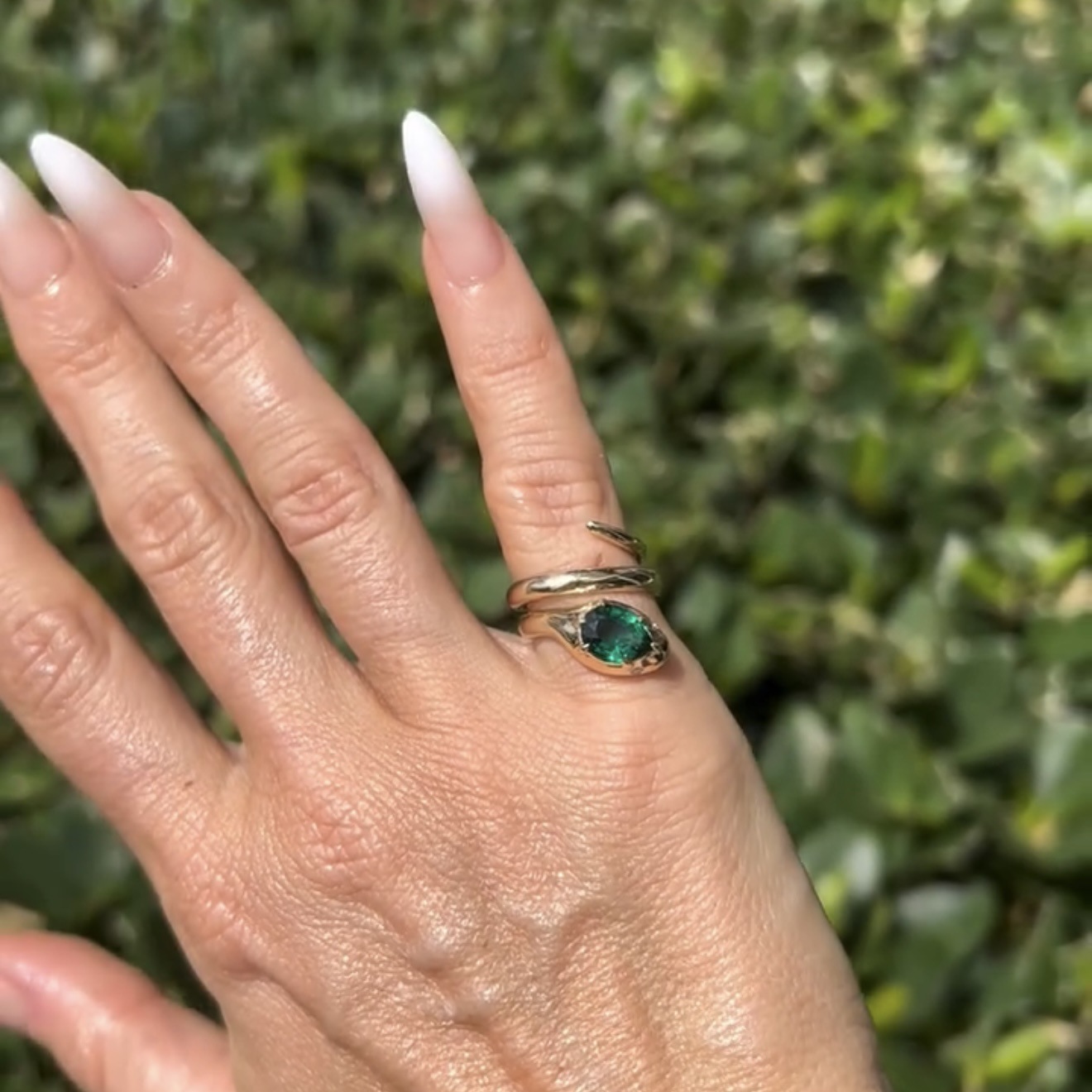 Snake Pattern All Seasons Season Wholesale Jewelry Elegant Lady Snake Titanium Steel Gold Plated Rings