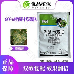 ���Ѵ�ɭ ˪ù��̿�Ҳ��~�߲�������������rș�߲˚����� ���]