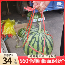 �����K�ӾW���W���������ϾW�ֹ����������ό��������K���ό��ô�