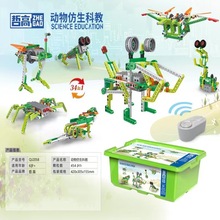 哲高动物仿生科教拼装积木批发礼品玩具儿童男孩昆虫遥控模型