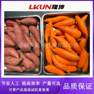 可定制多功能蒸汽去皮机 红薯高温蒸汽烫皮机 农产品加工去皮设备