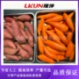 蒸汽高温多功能去皮去皮机