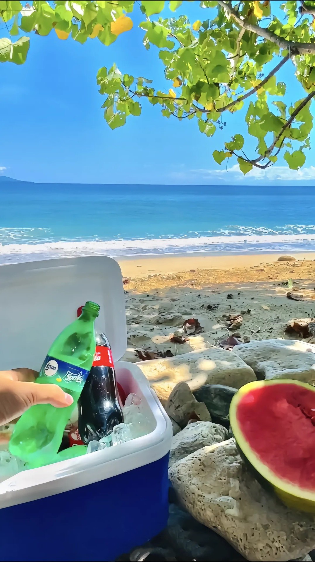 8294e37dde0b1f03ac18bc767034af