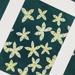アザラシの花クリエイティブエンボスドライフラワー手作り植物標本エポキシエンボス加工本物の花ステッカー花びらメイクアップ材料
