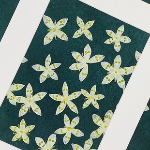 Creative Pressed Dried Flowers of Alpine Pansy, Handmade Plant Specimens, Resin Pressed Flowers, Real Flower Stickers, Petal Makeup Materials
