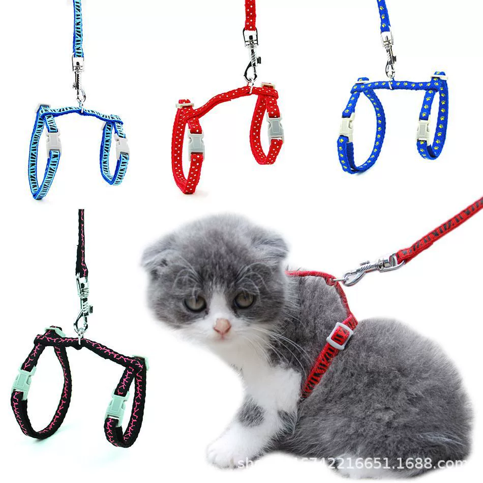 Поводок для домашних животных, разноцветная шлейка для кошек и собак, I-образный ремень, противоскользящая веревка для кошек, якорная цепь, набор веревок, болт, принадлежности для кошек