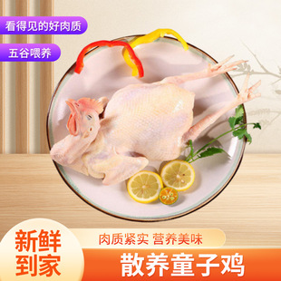 ɢ�Bͯ���u�r�ҬF�����r��ֻ �S��ֱ�N���u�ߵ��u�������ʳ��