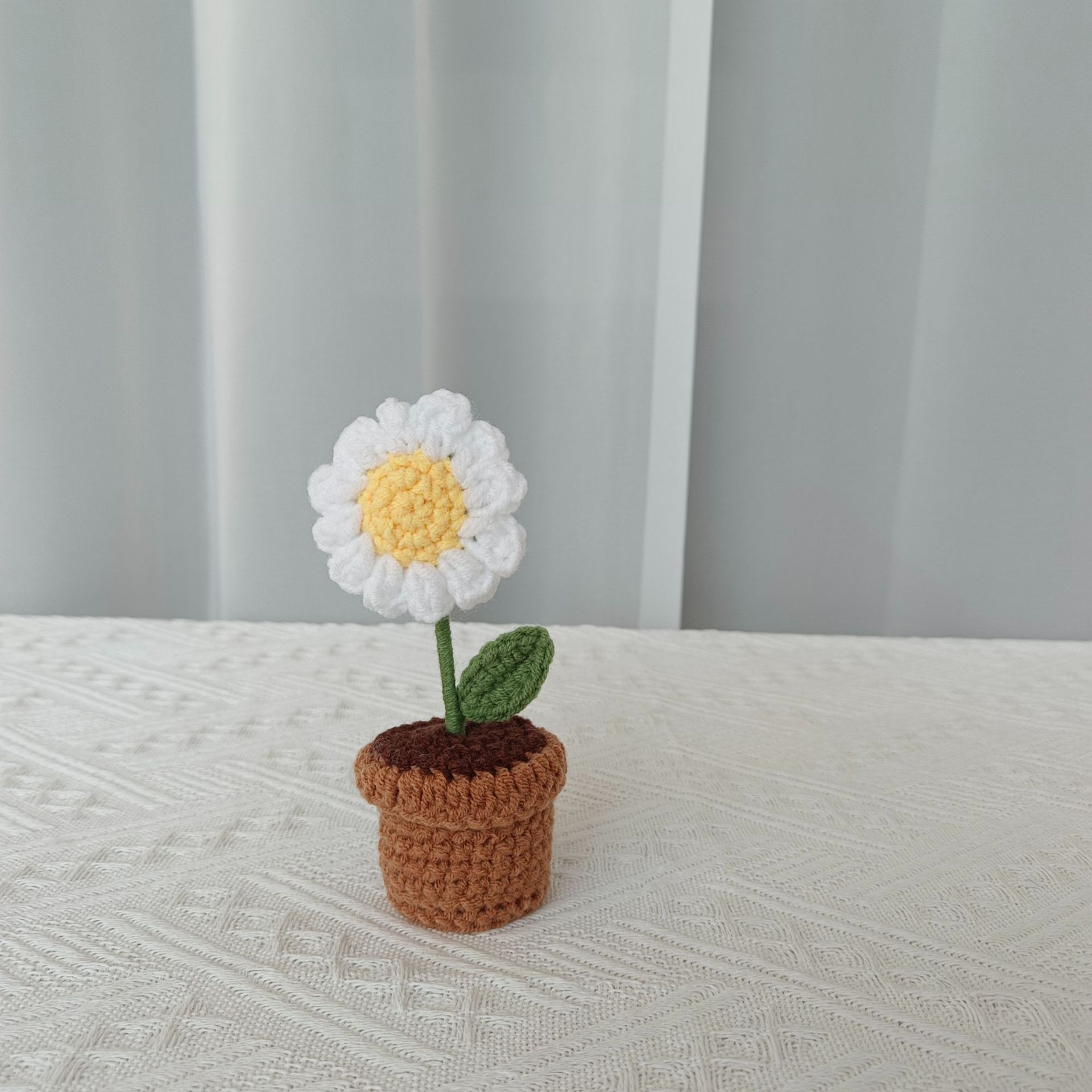 작은 데이지 화분