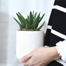 诧寂风北欧风陶瓷盆绿植盆栽花卉办公室内桌面摆件净化空气除甲醛