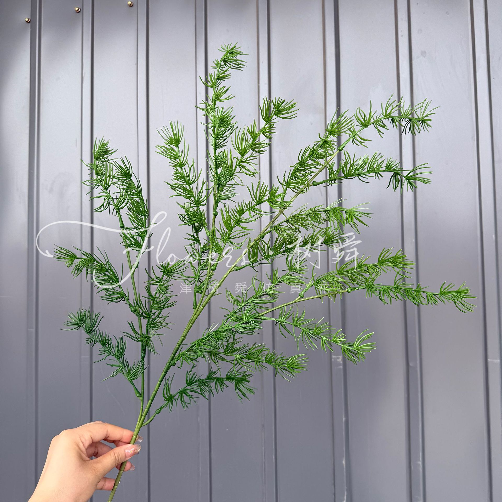 Color en aerosol Sijiqing