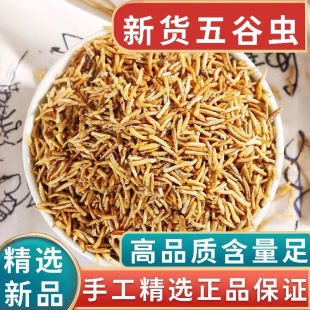 ��ƷҰ������x��؛��ș��500g�����S������x���ˮ�������x��ω