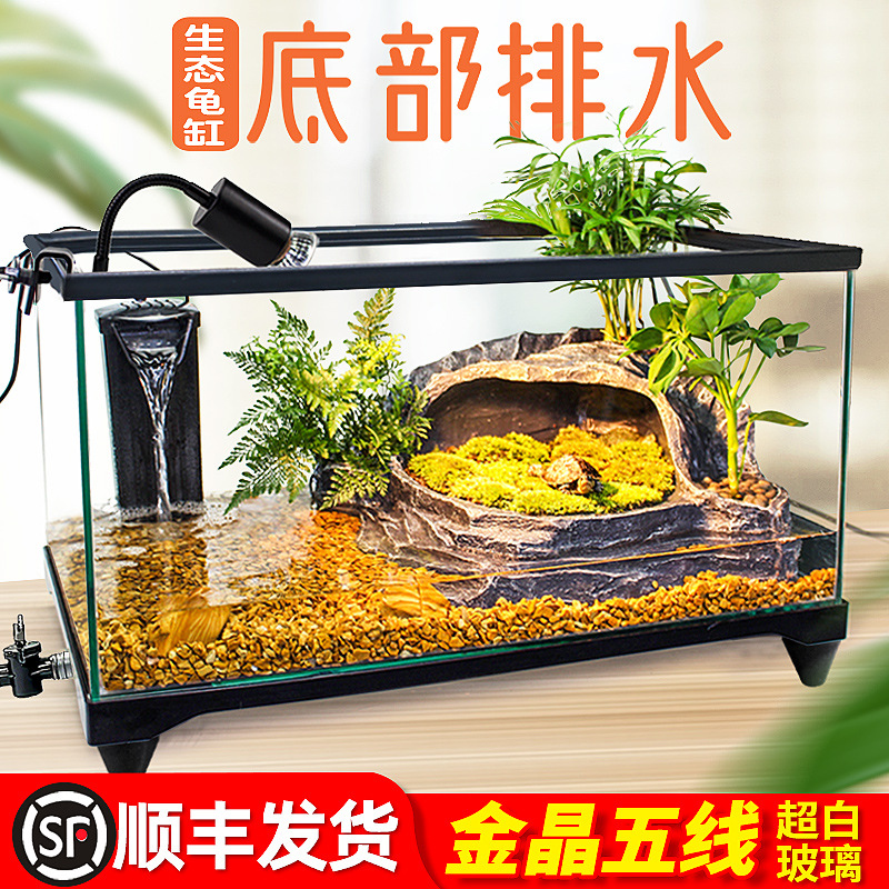Şüşə Akvarium və Tısbağa Qabı - Stolüstü Landşaft
