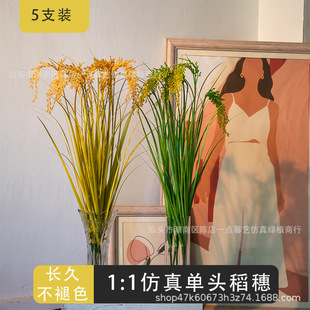 1:1����ˮ�����뵾����^��@�L�bٻ�ֲ����̨�Ĕz���ߔ[�O