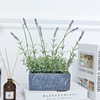 [Promotion] 30CM simulation Lavender bonsai Botany Indoor and outdoor simulation decorate Botany