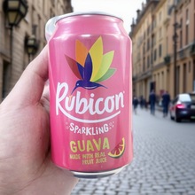 Rubicon�W�t��ζ����ˮ̼�������ˮBARR�ɘ��͹�֭�Ͱ�Ӣ���M��