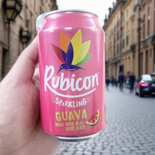 Rubicon�W�t��ζ����ˮ̼�������ˮBARR�ɘ��͹�֭�Ͱ�Ӣ���M��