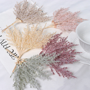 ����˪�q��ֲ֦���F�ɸ�DIY���������������Y �Ҿ��b������l