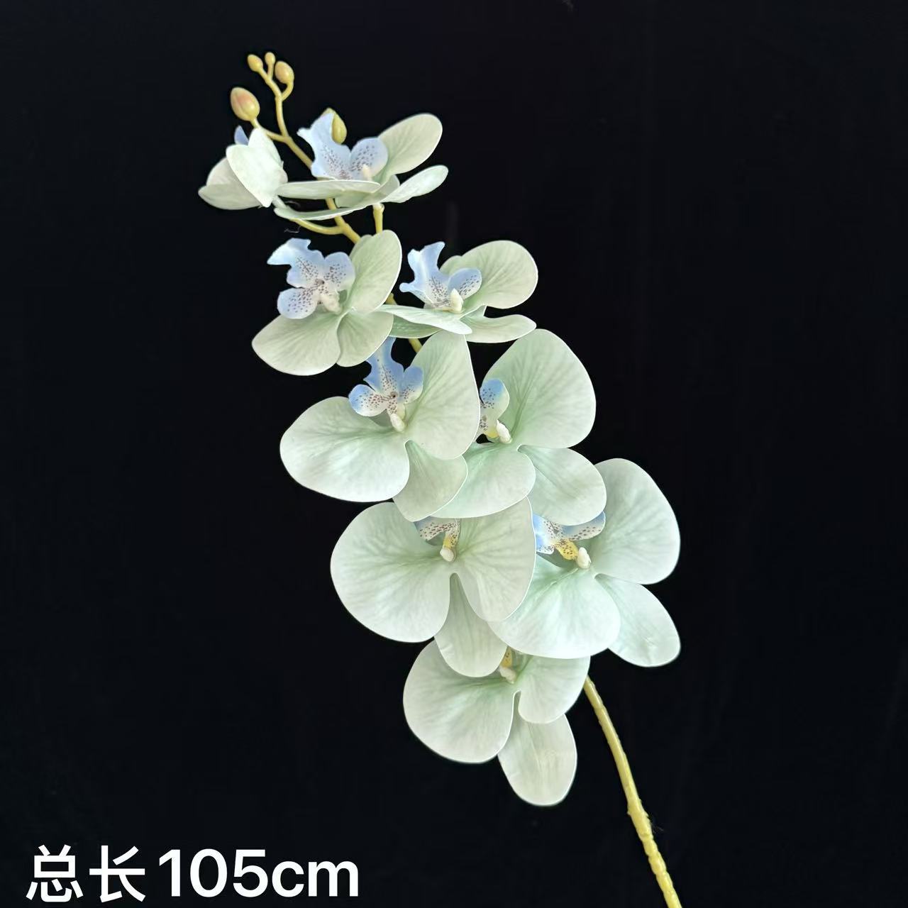 청록색