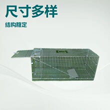 �C�������¿���⹷�\�ӌ��ﹷ�\؈�\���ӻ\����\�ۯB���F�z�\��