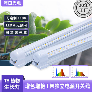 ֲ�����L��T8�~�˻�������ˮ�����ledȫ���V���lֲ���a�����