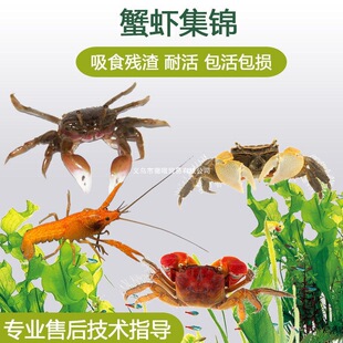 �^�pз���w����з����з��ˮз���x��������з���еח��������B��