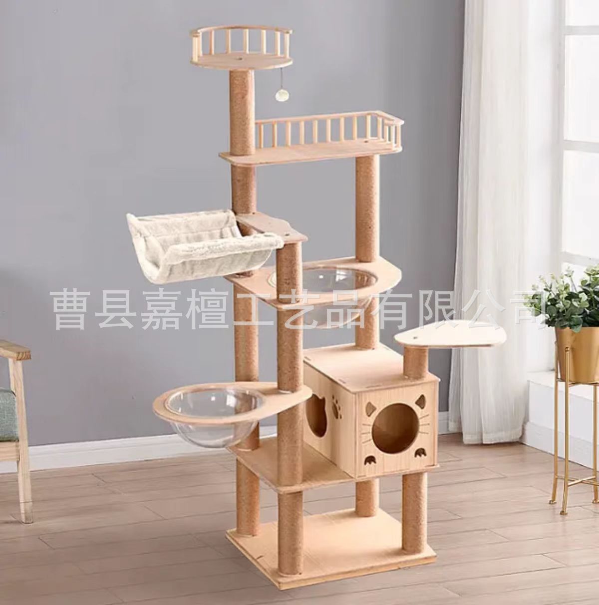 微信图片_20250429162228
