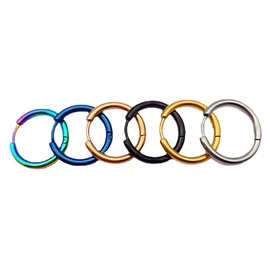 耳钉;耳环;耳扣